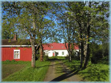 Ilta-aurinko