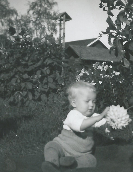 Vellikello ja Matti 1940